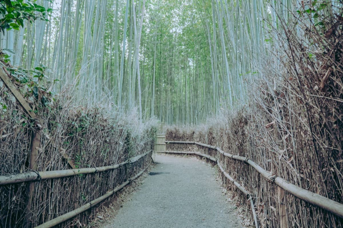 Kyoto