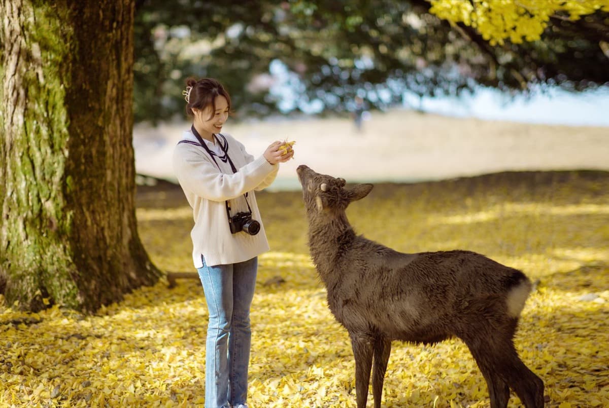 Nara