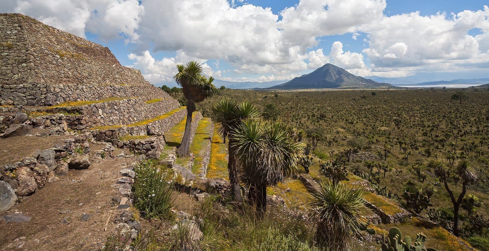 Self-Guided Walking Tours in Mexico (2026)