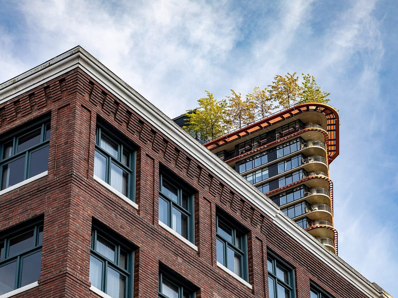 Chinatown After Hogan's Alley: What Displacement Did to Vancouver's Black and Chinese Blocks