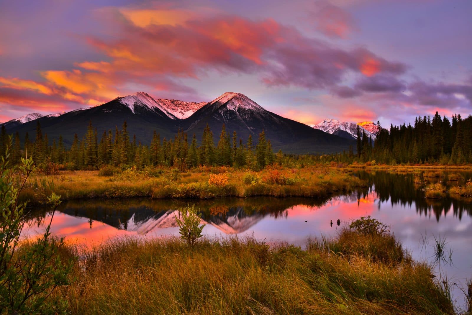 How a River Valley Became a Park: The Bow, the Ice, and the Warm Water
