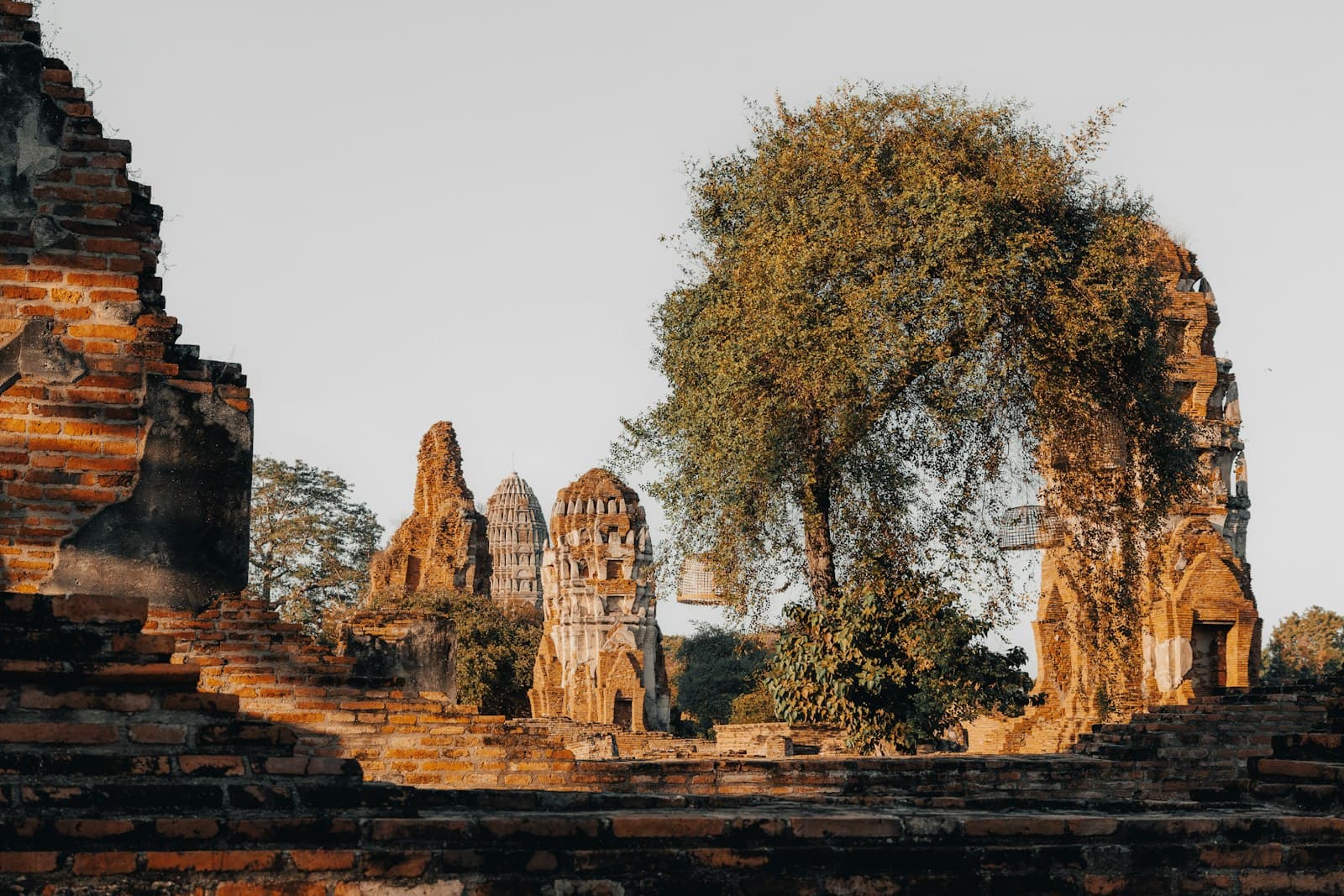 The Burned Capital: How Ayutthaya's Ruins Read the World That Made Them