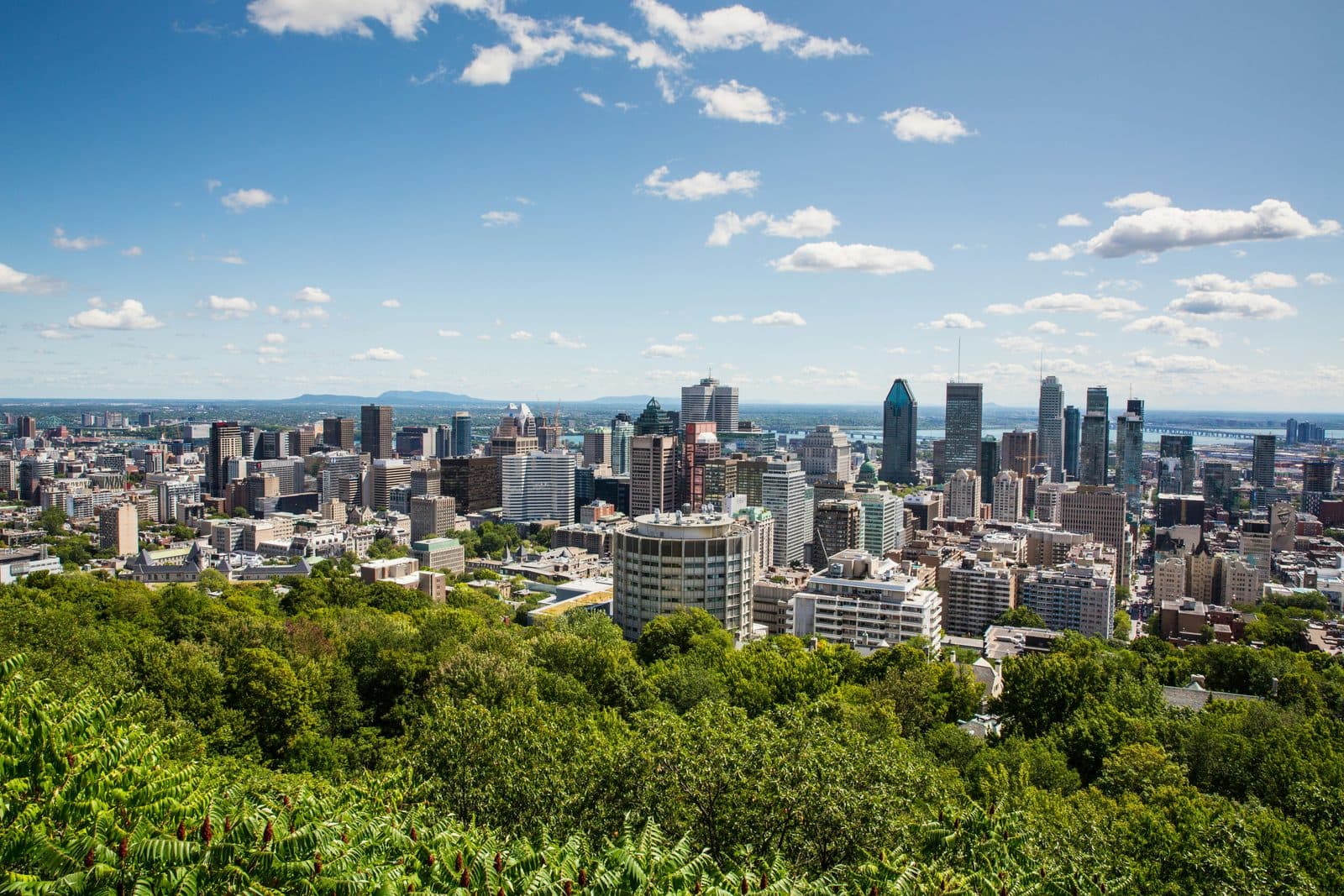 Best Self-Guided Walking Tours in Montreal (2026)
