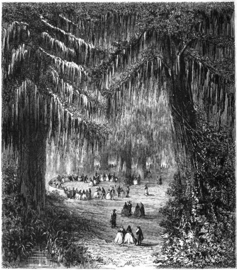 El Sargento: The Dead Ahuehuete Tree of Chapultepec