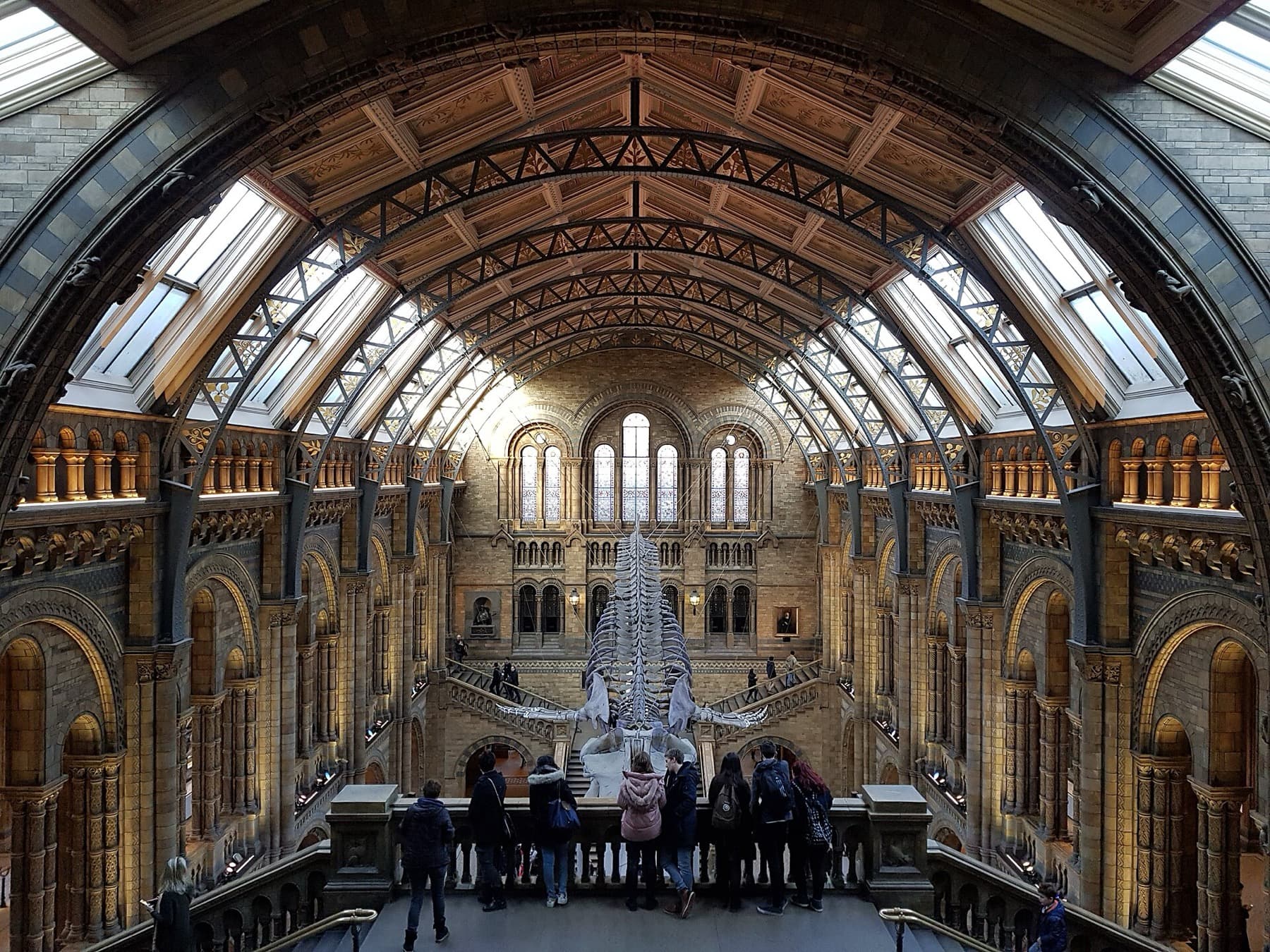 Natural History Museum, London: What to See, Wing by Wing