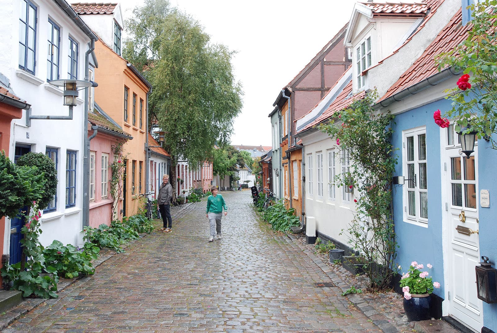 What to Eat in Aarhus: Dishes, Origins, and How to Order