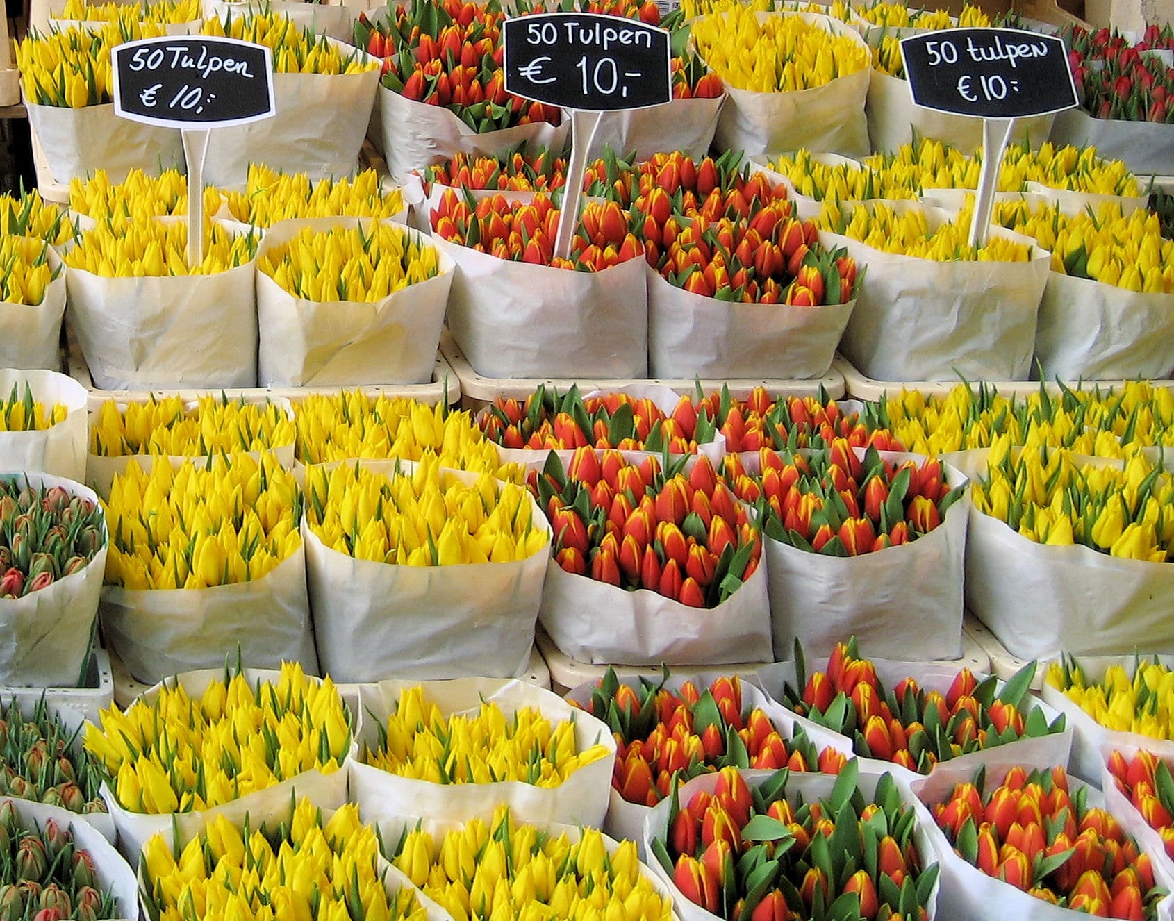 Bloemenmarkt: the flower market and the tulip legend