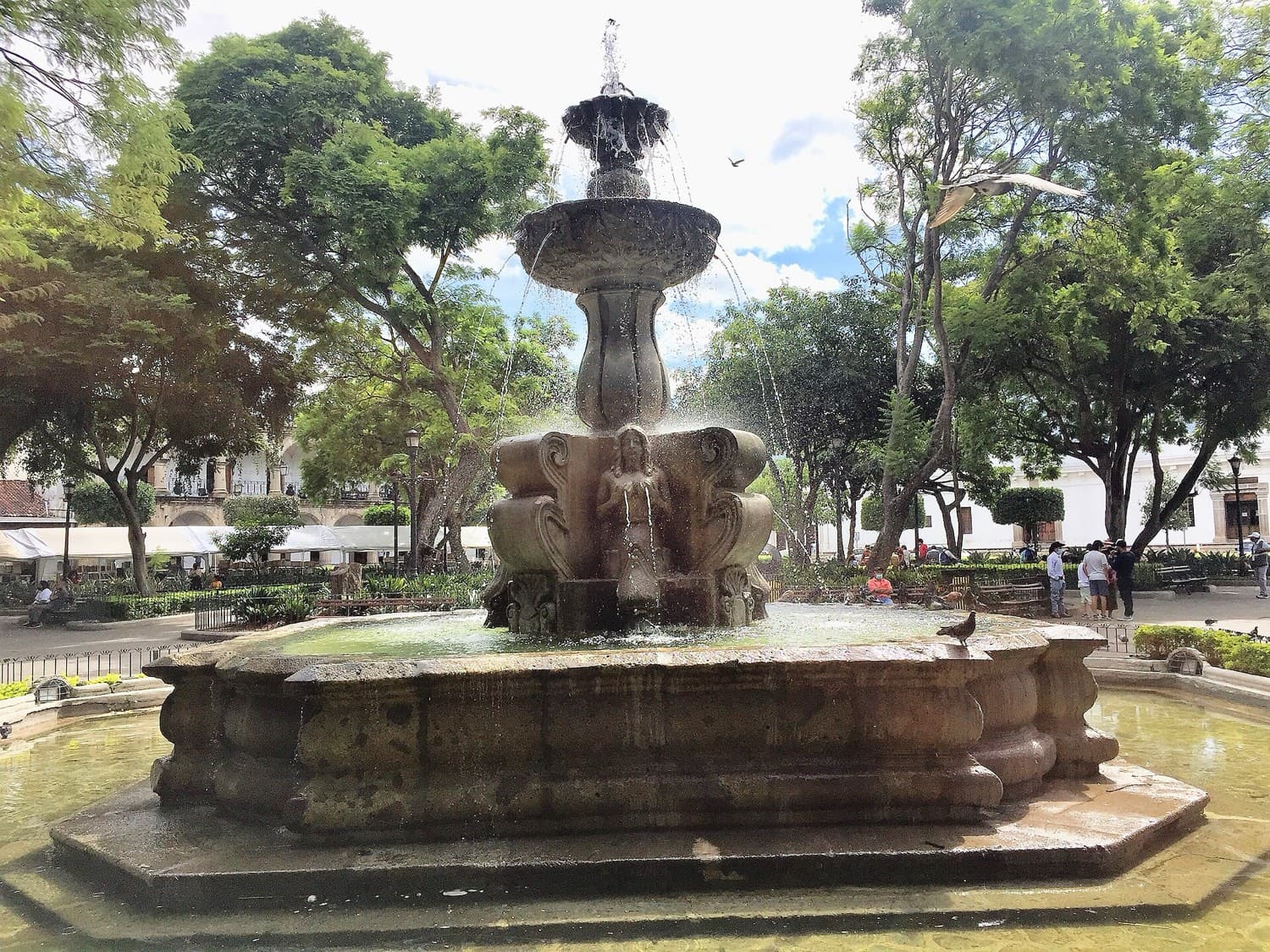 Parque Central: Where the Pattern Starts
