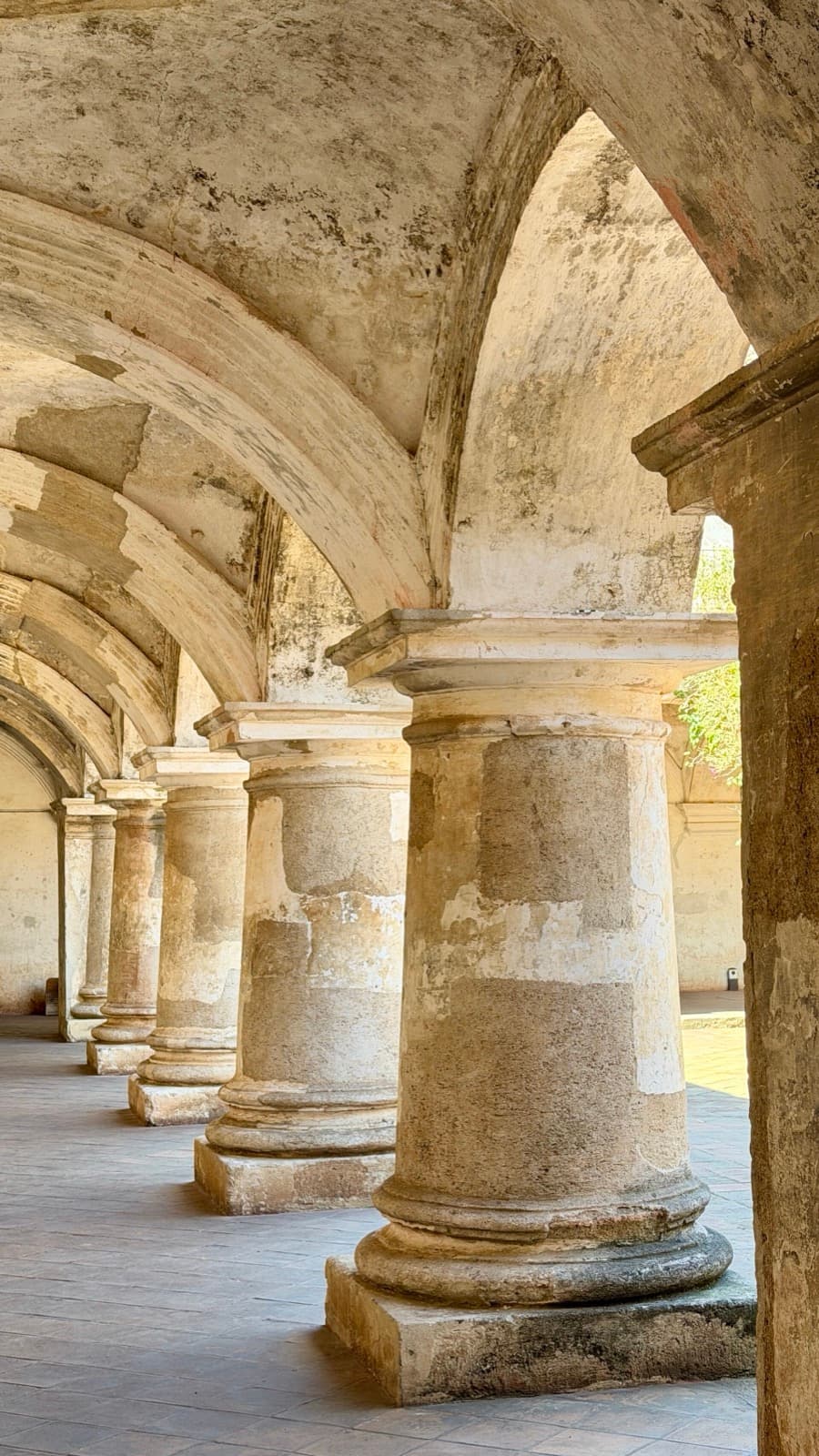 Capuchinas: Who the System Made Room For