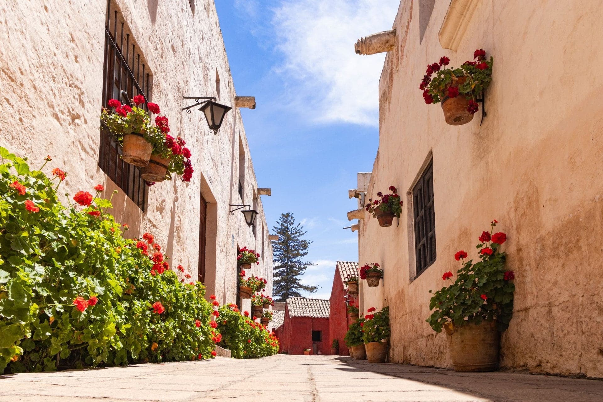 Calle Córdoba: The Wall That Still Works