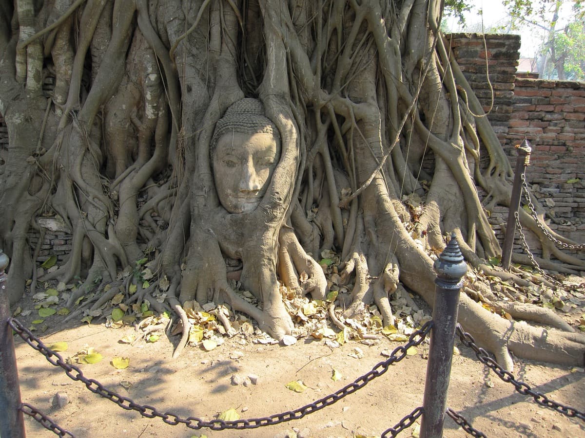 Wat Mahathat, Ayutthaya: The Buddha Head in the Tree Roots
