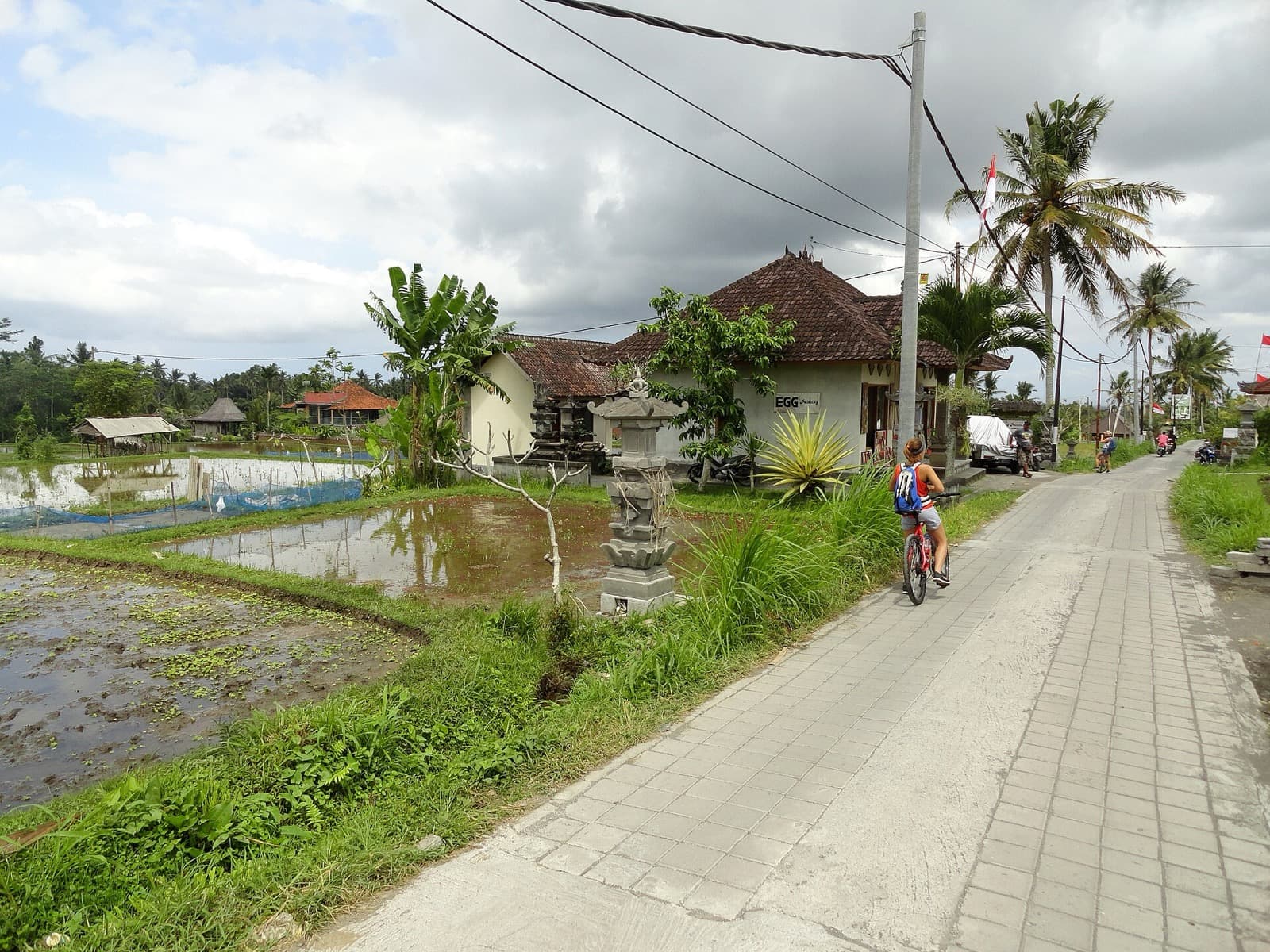 What to Eat in Bali: Babi Guling, Betutu, and Warung Ordering