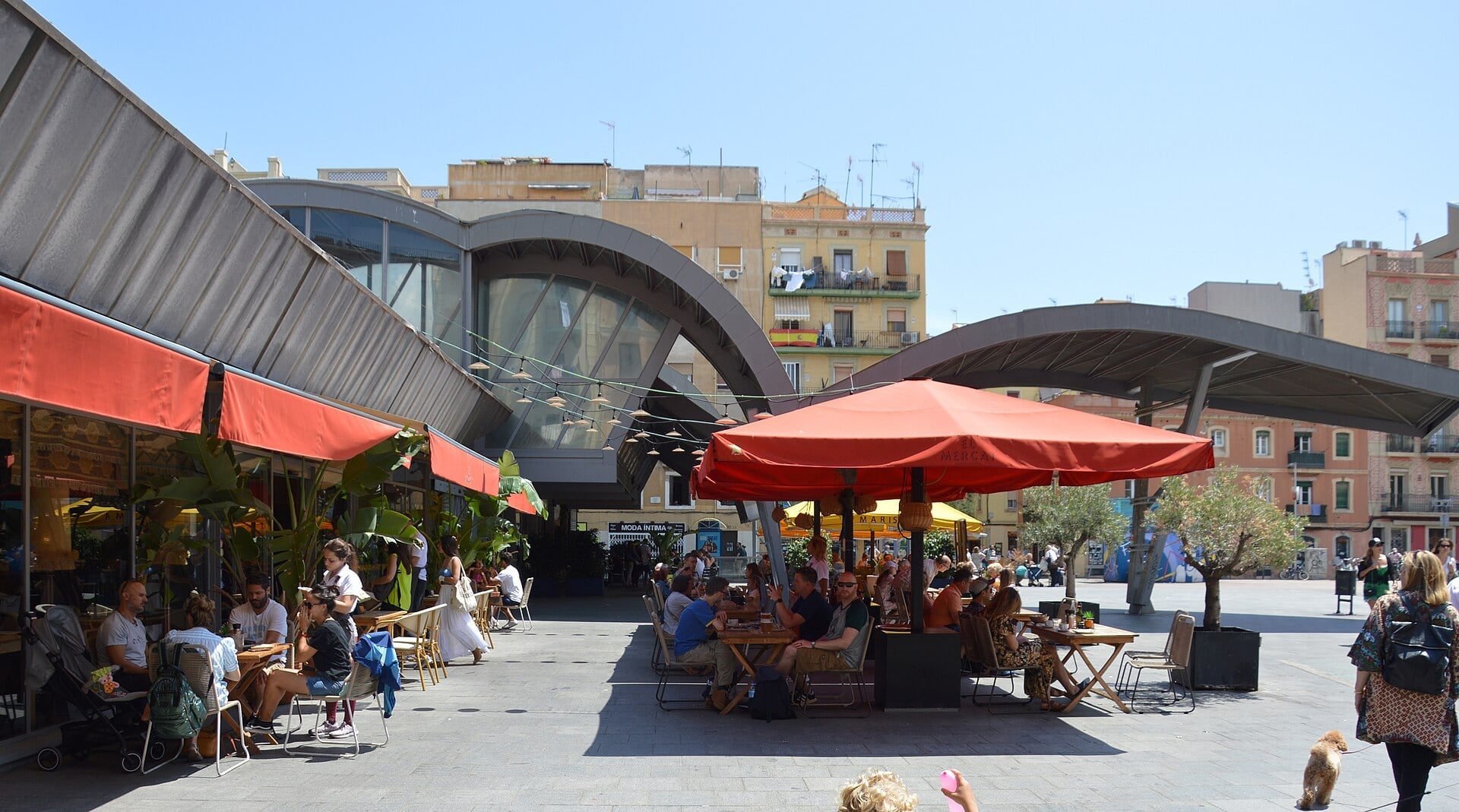 Mercat de la Barceloneta: Iron and Solar