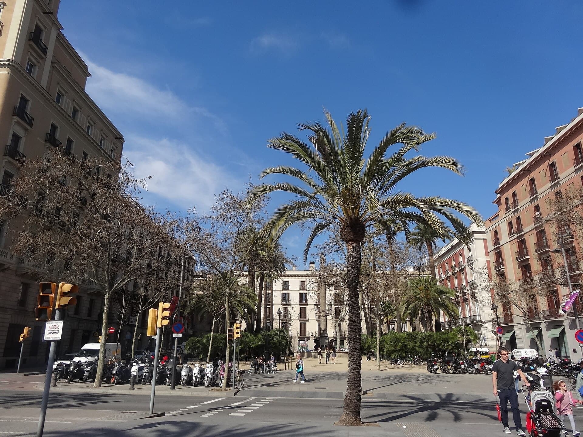 Plaça del Duc de Medinaceli: Iron and Palms