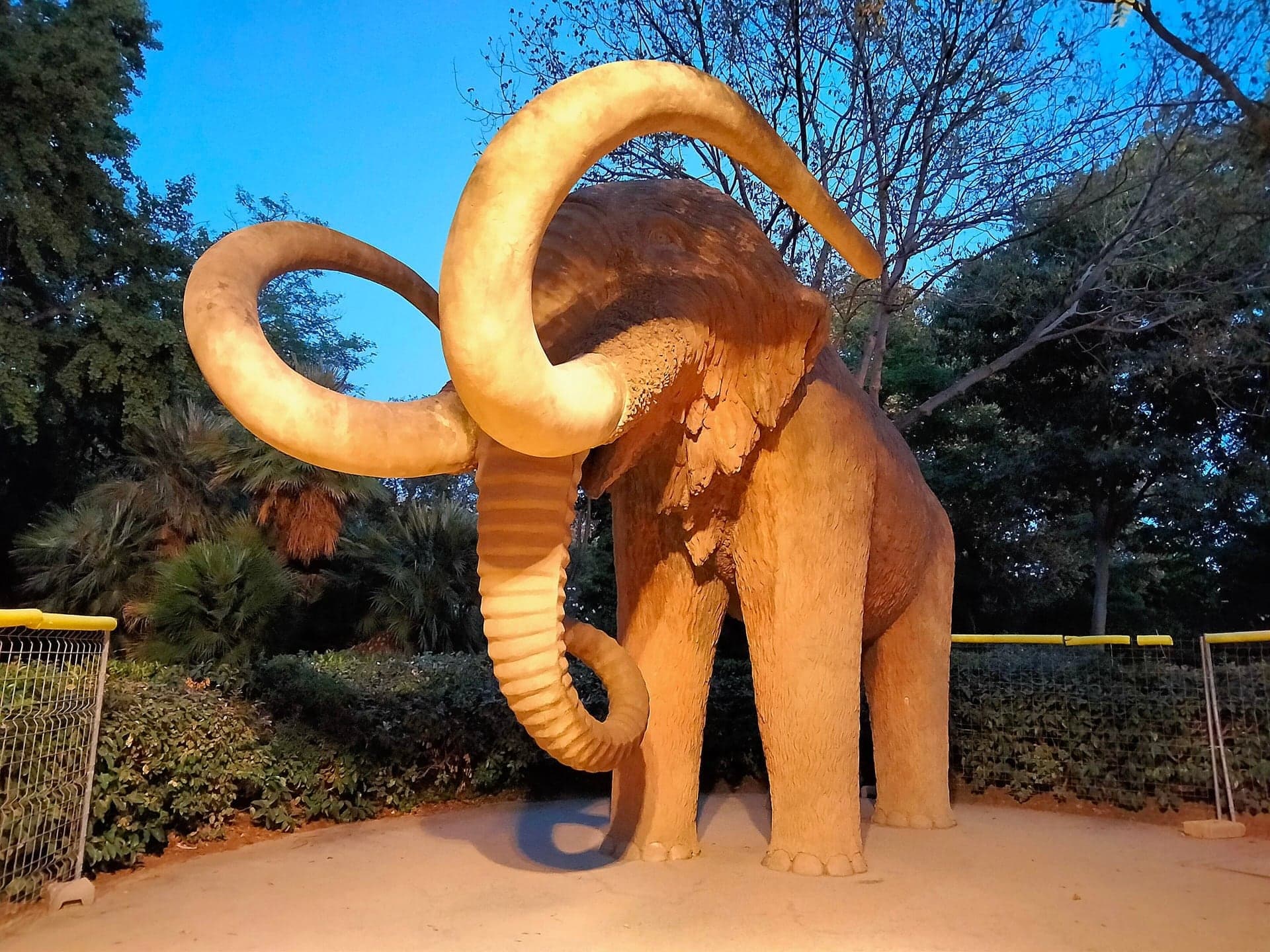 The Mammoth