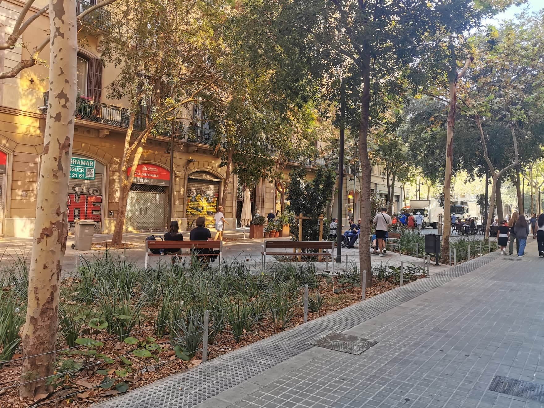 Consell de Cent: A Grid Street Turned Green