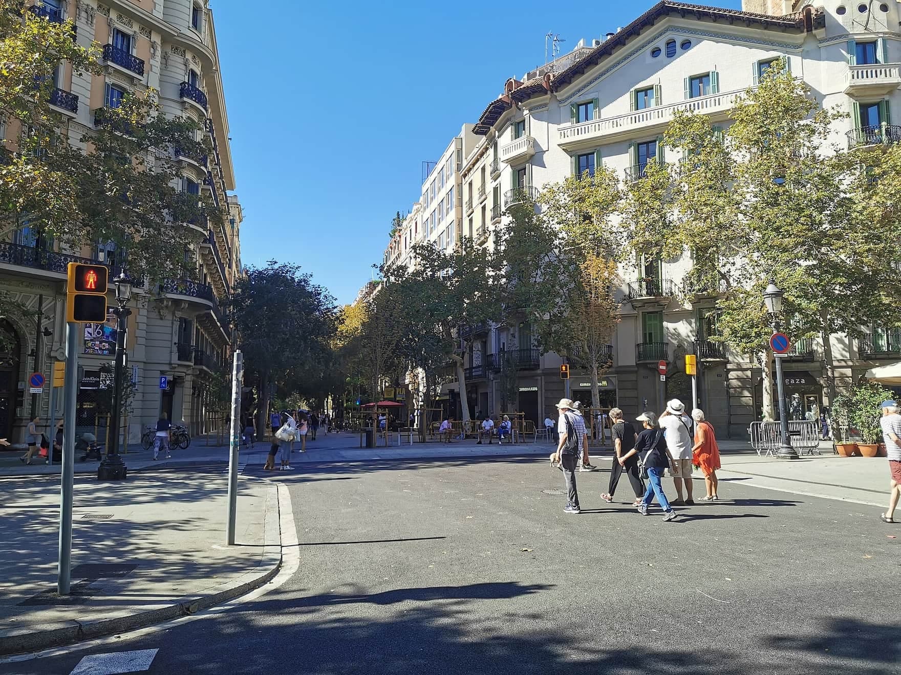 Consell de Cent: A Grid Street Turned Green