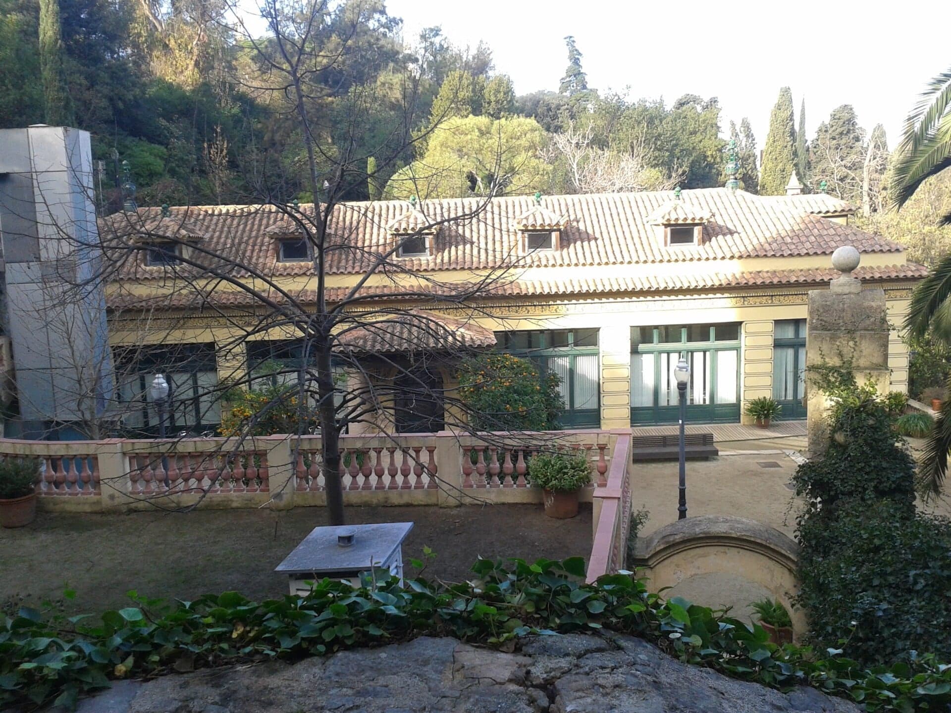 Font del Gat: The Cat's Spring