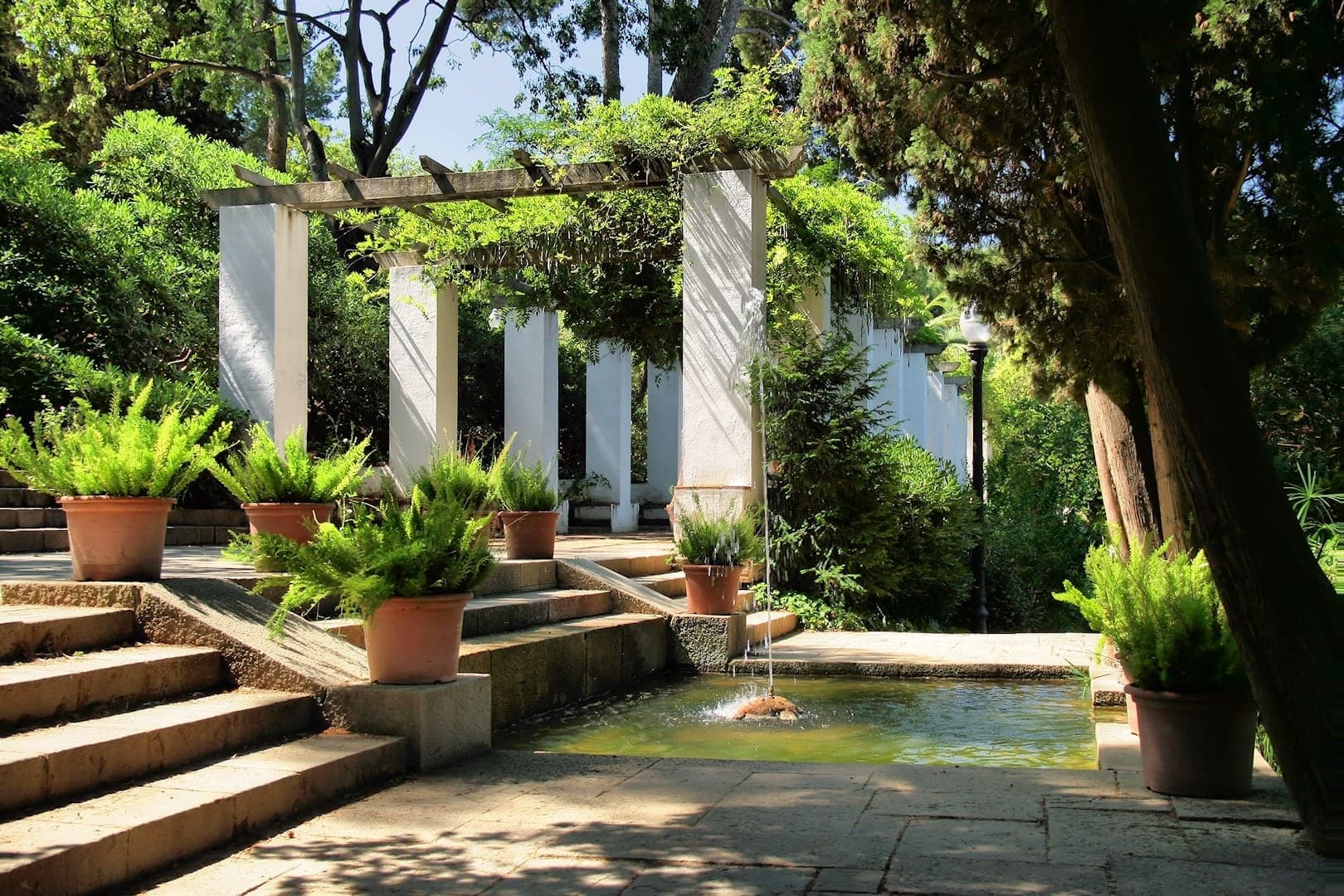Font del Gat: The Cat's Spring