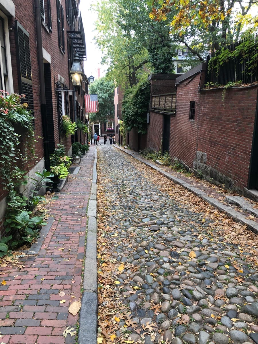 Acorn Street: The Service Alley