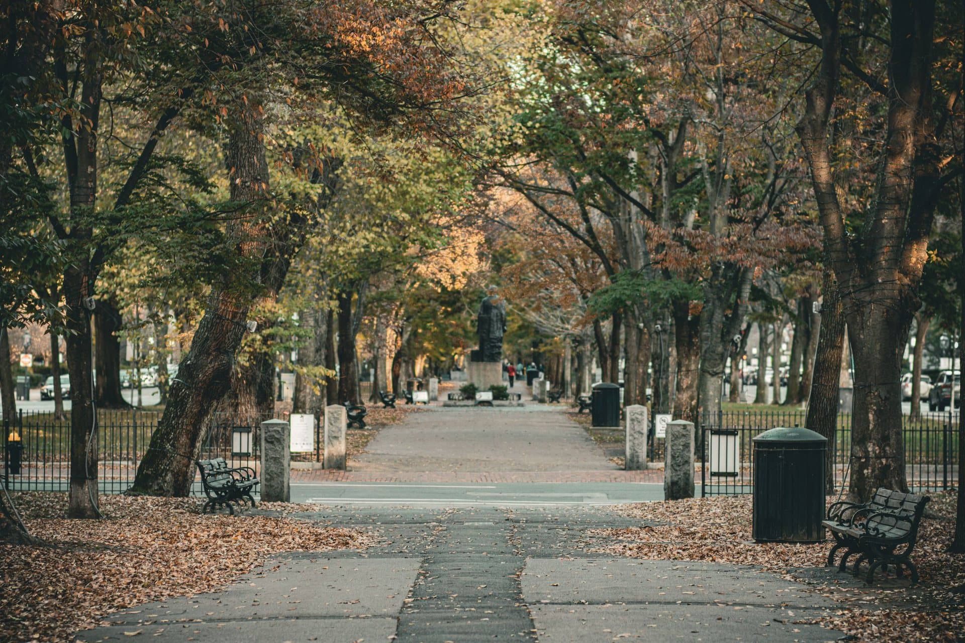Commonwealth Avenue Mall: A Straight Line on New Land