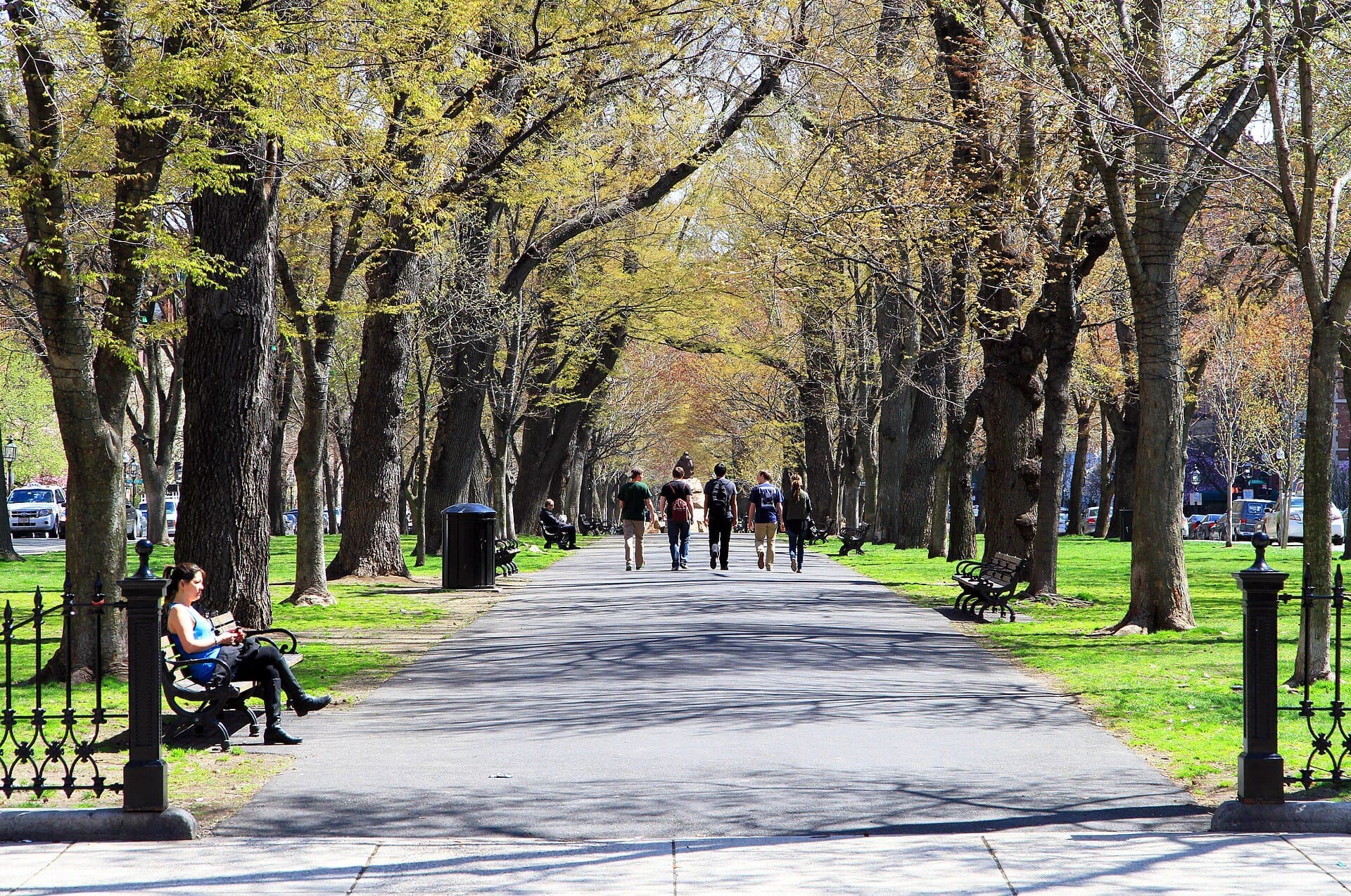 Commonwealth Avenue Mall: A Straight Line on New Land