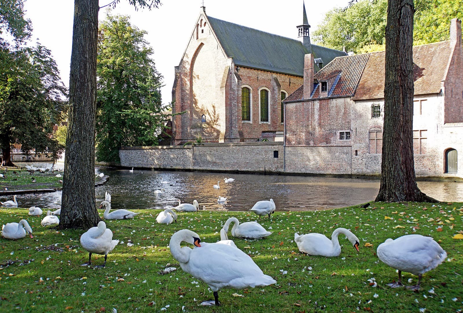 Minnewater in Bruges: The Lake of Love That Was Once a Harbor
