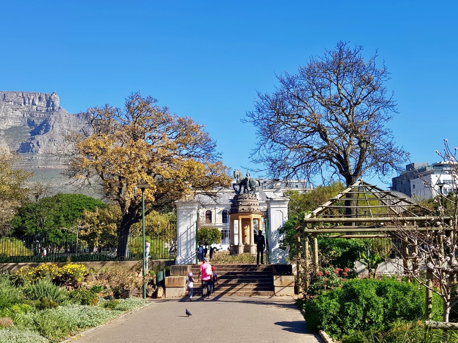 City Centre: Where the Cape Colony Began