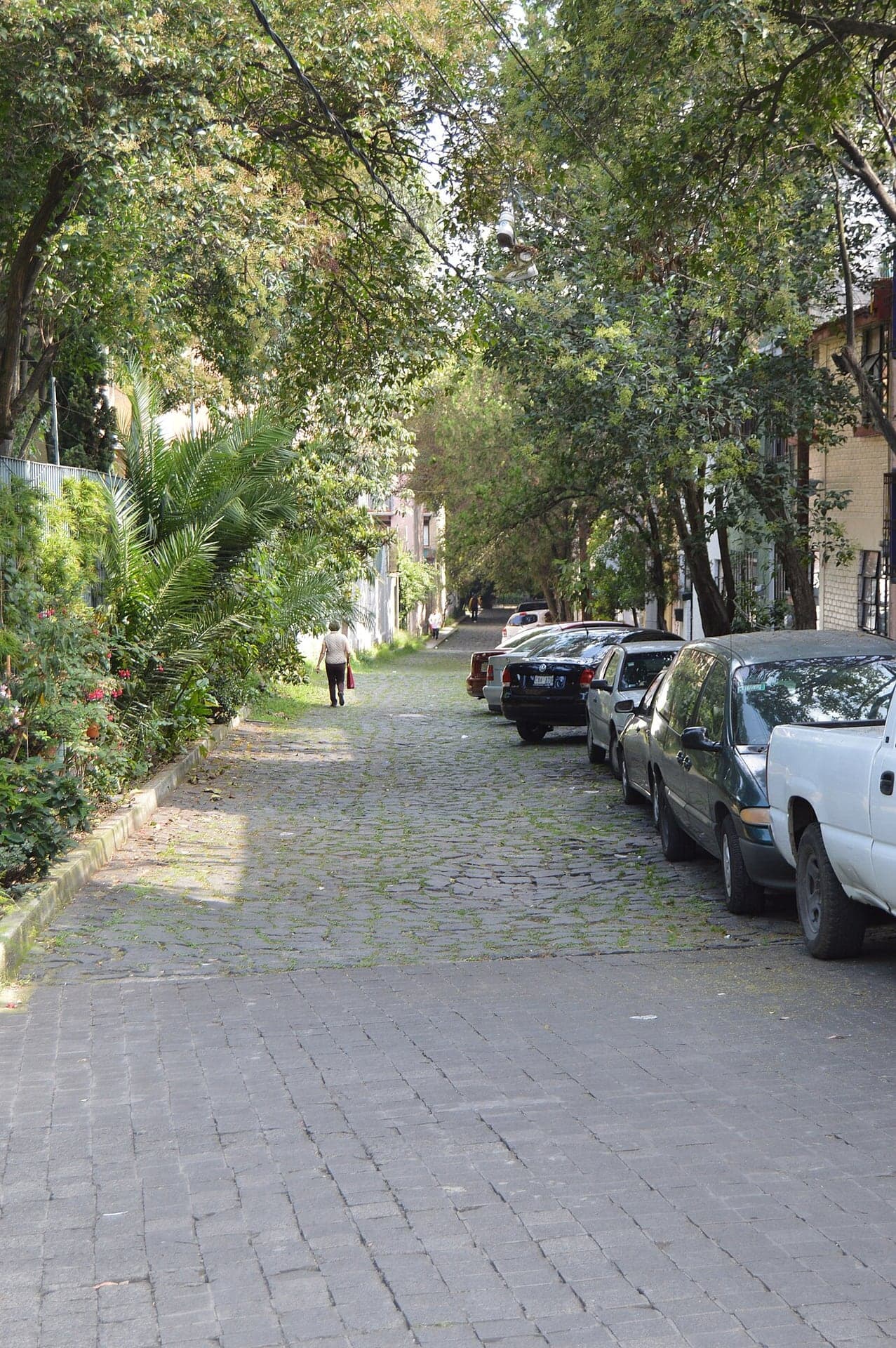 Callejón de la Cita: The Lane of the Rendezvous