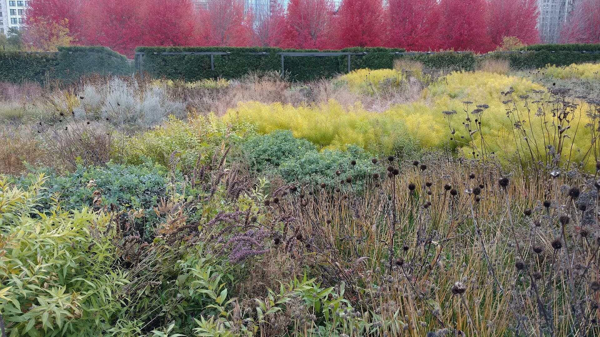 Lurie Garden: A Hedge Held Up by Steel