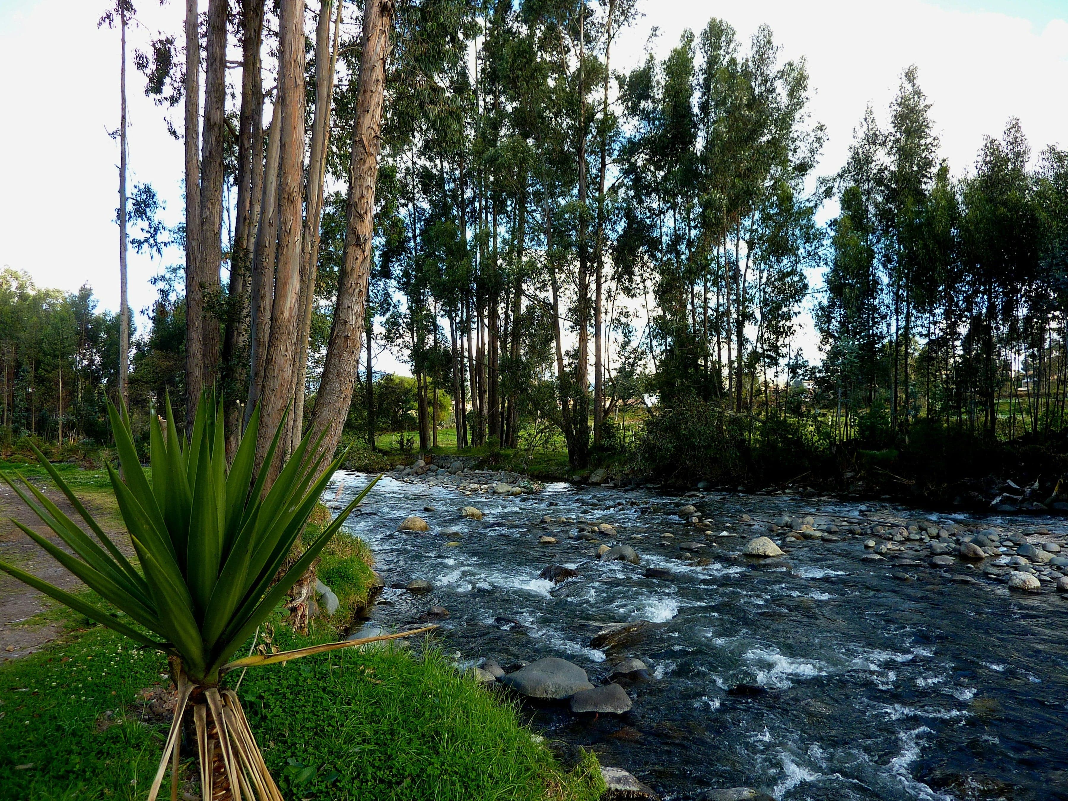 El Barranco: Panama Hats, a Broken Bridge and the Inca Gate