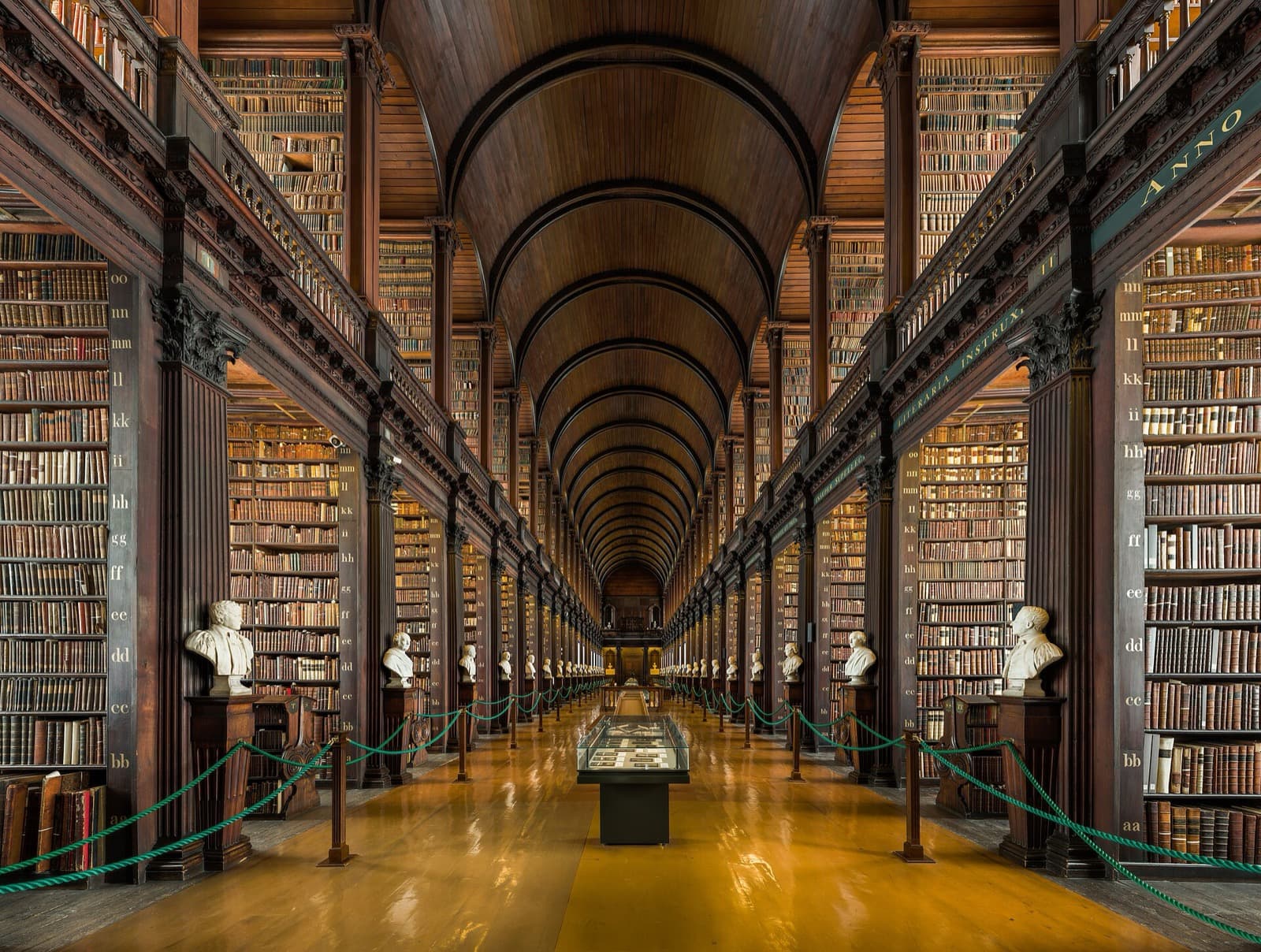 Trinity College: The Book and the Georgian City