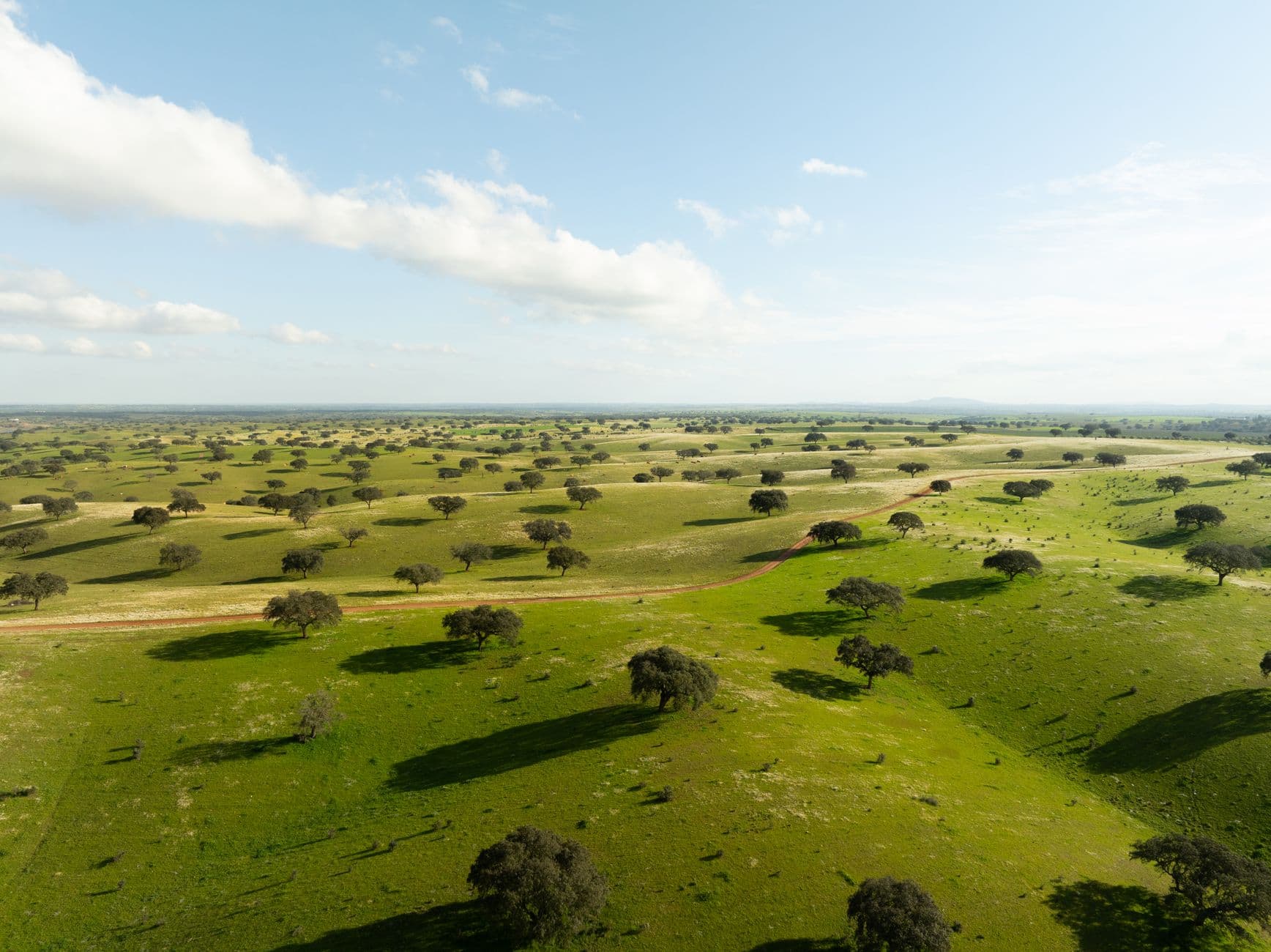 Alentejo cork and wine: the landscape the water crosses