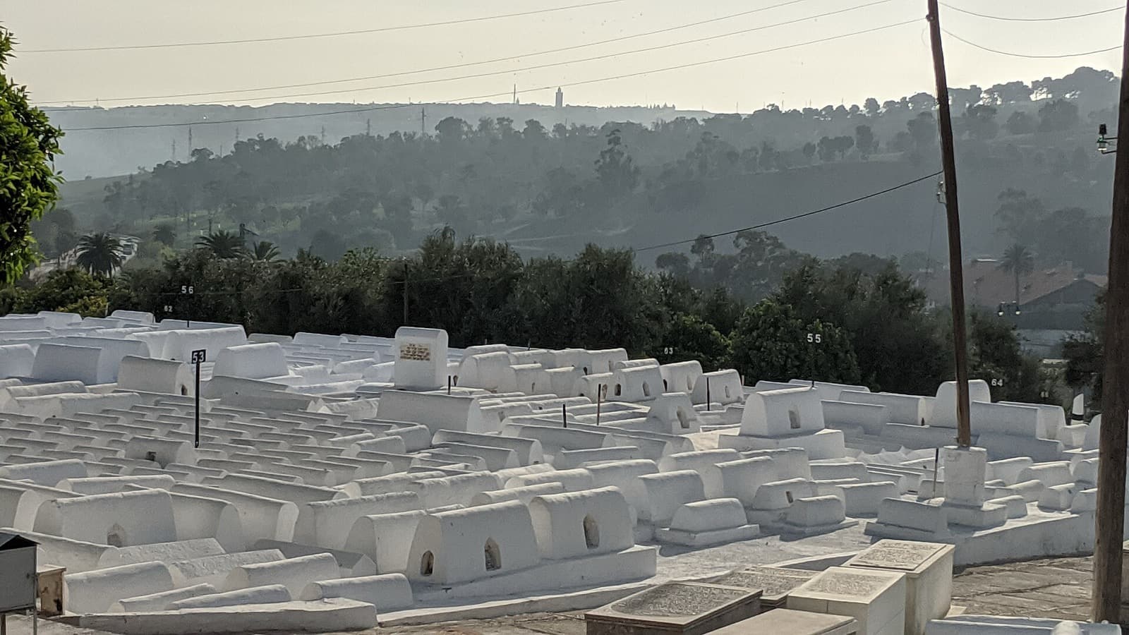 The Jewish Cemetery: The White Field That Outlasts