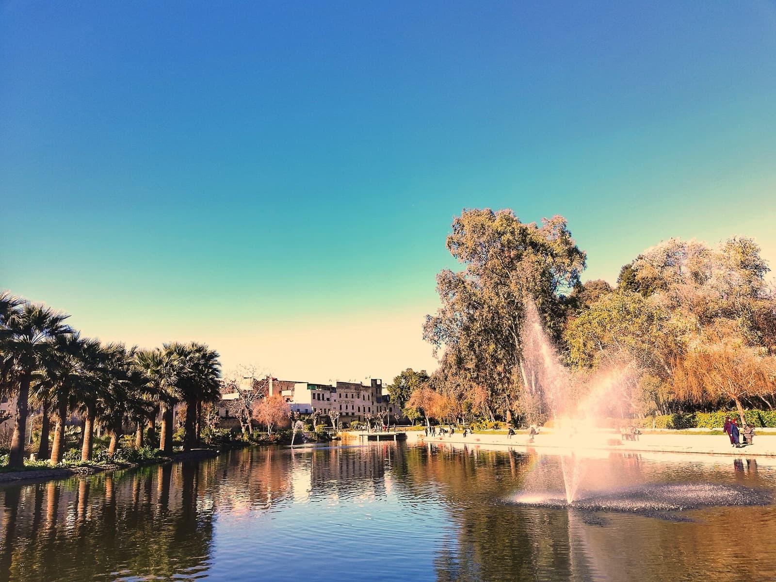Jnan Sbil Gardens: The Green Seam Between Two Cities