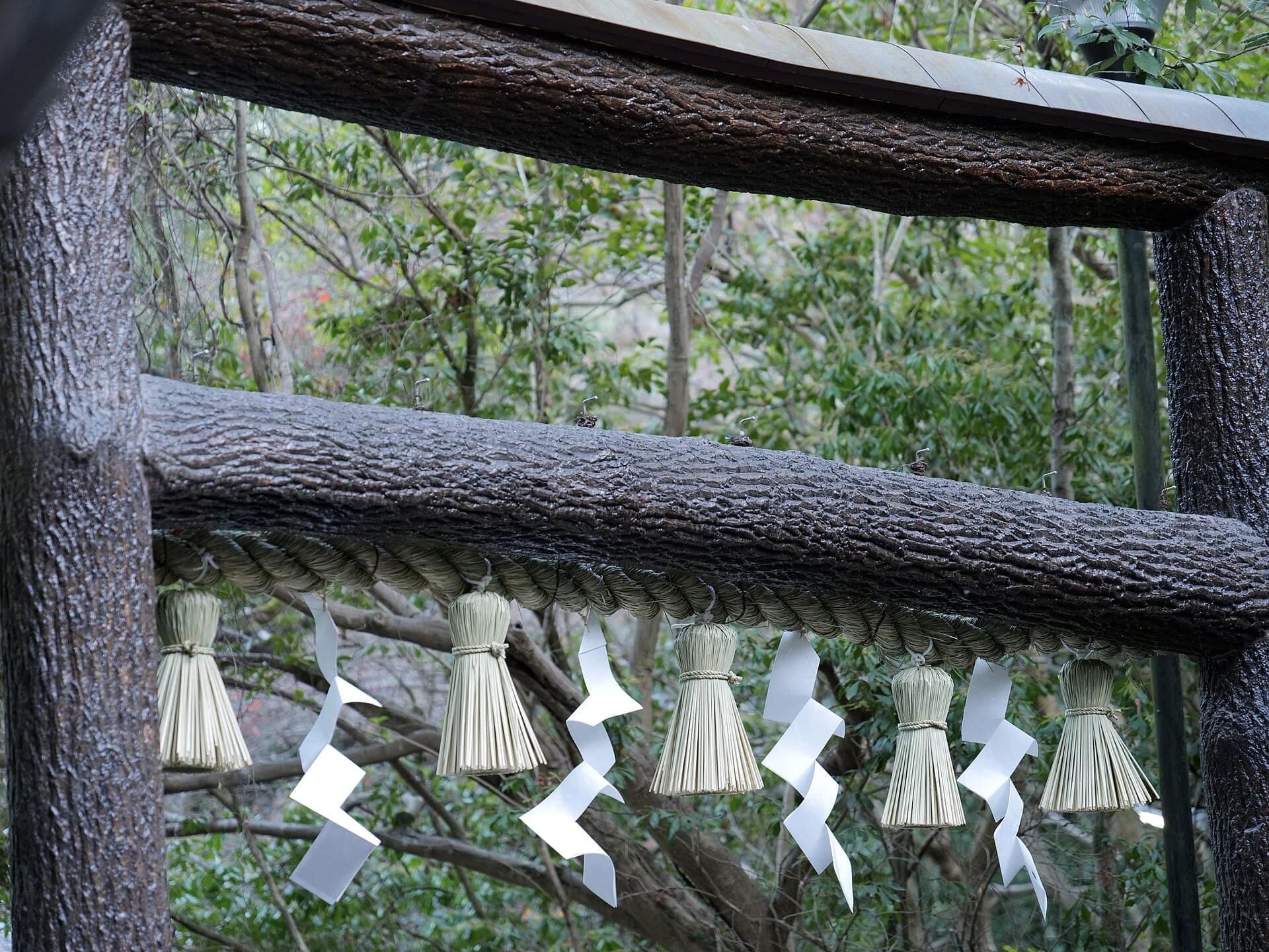 Nonomiya Shrine: The Torii With Its Bark On