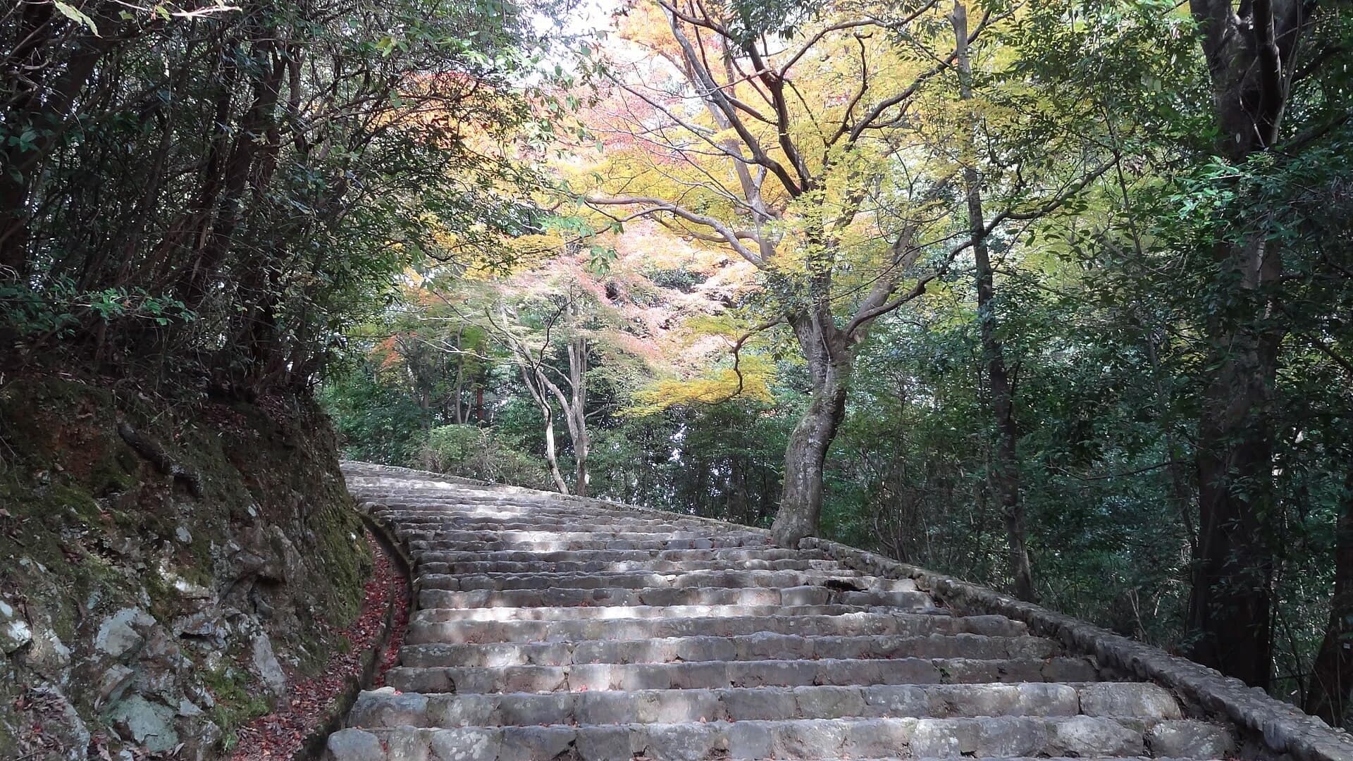 Kameyama Park Viewpoint: Above the Hozu Gorge
