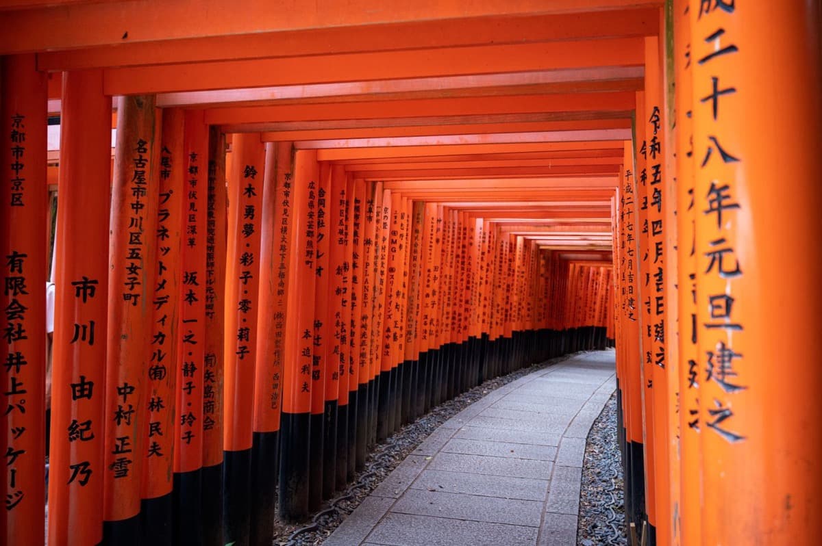 Senbon Torii: Why Ten Thousand Gates Climb the Mountain at Fushimi Inari