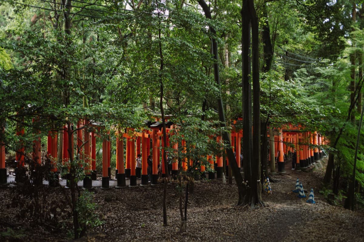 Ichinomine: The Top of the Ledger