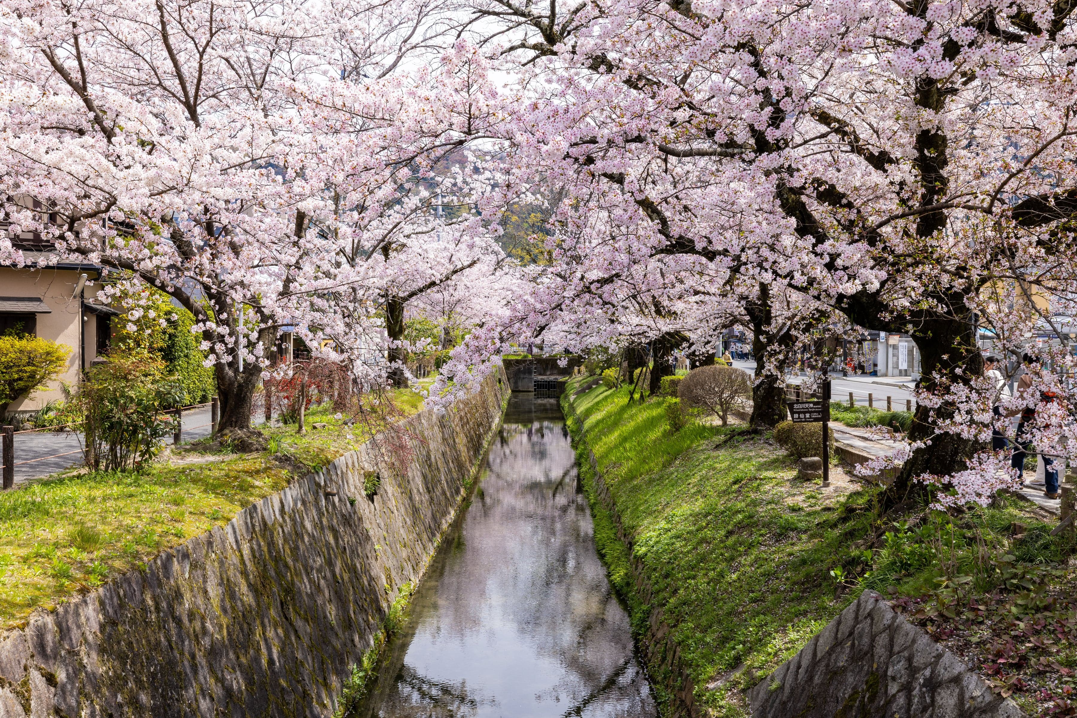 Philosopher's Path: From the Silver Pavilion to Nanzen-ji