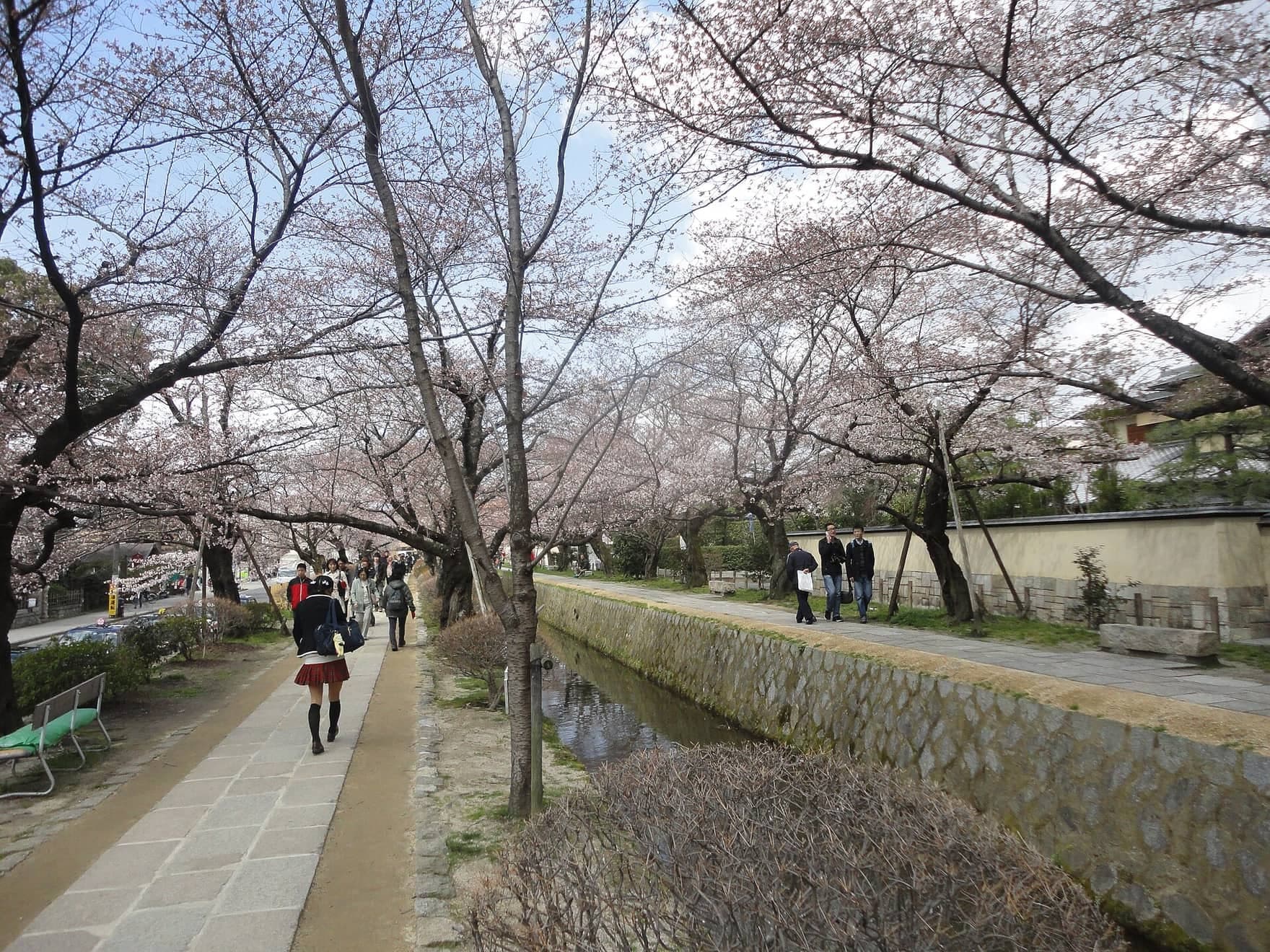 Ginkaku-ji Bridge: Walking Upstream