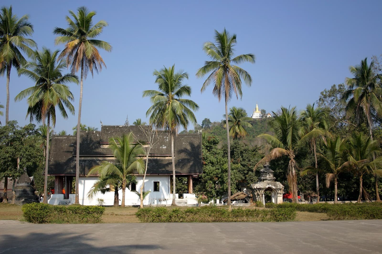 Wat Aham: The Spirit Temple Under Its Ancient Trees