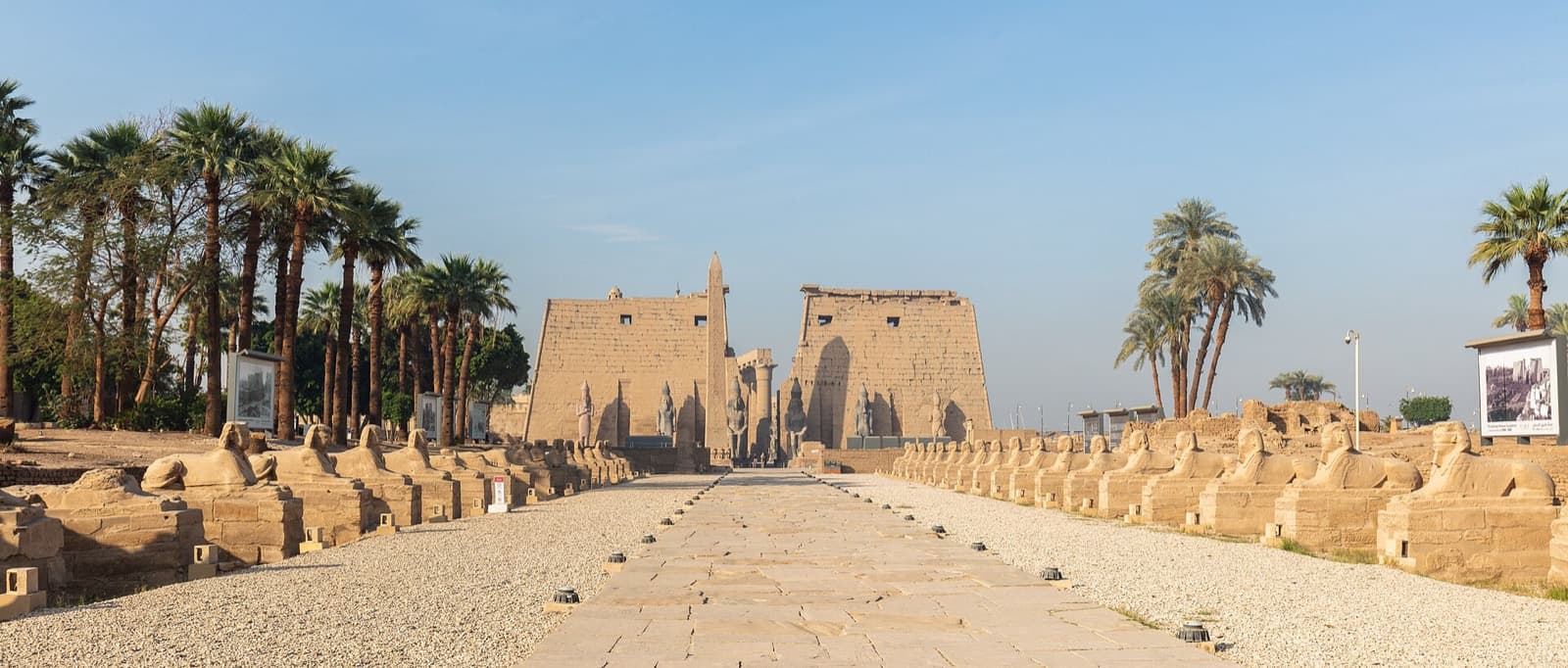 What to Eat in Luxor: Upper Egyptian Dishes and How to Order Them