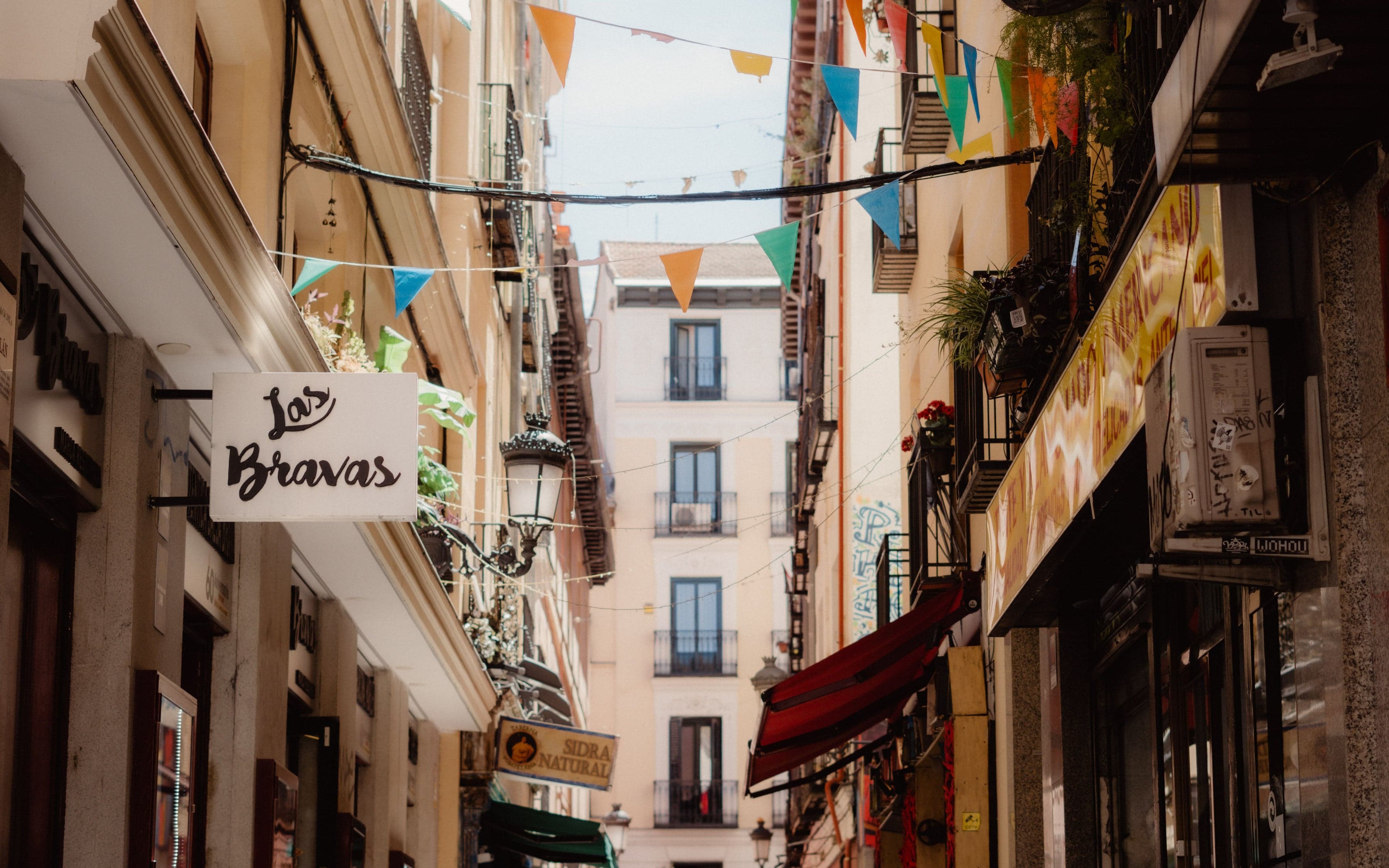 Barrio de las Letras: Cervantes, Lope and the Playhouses