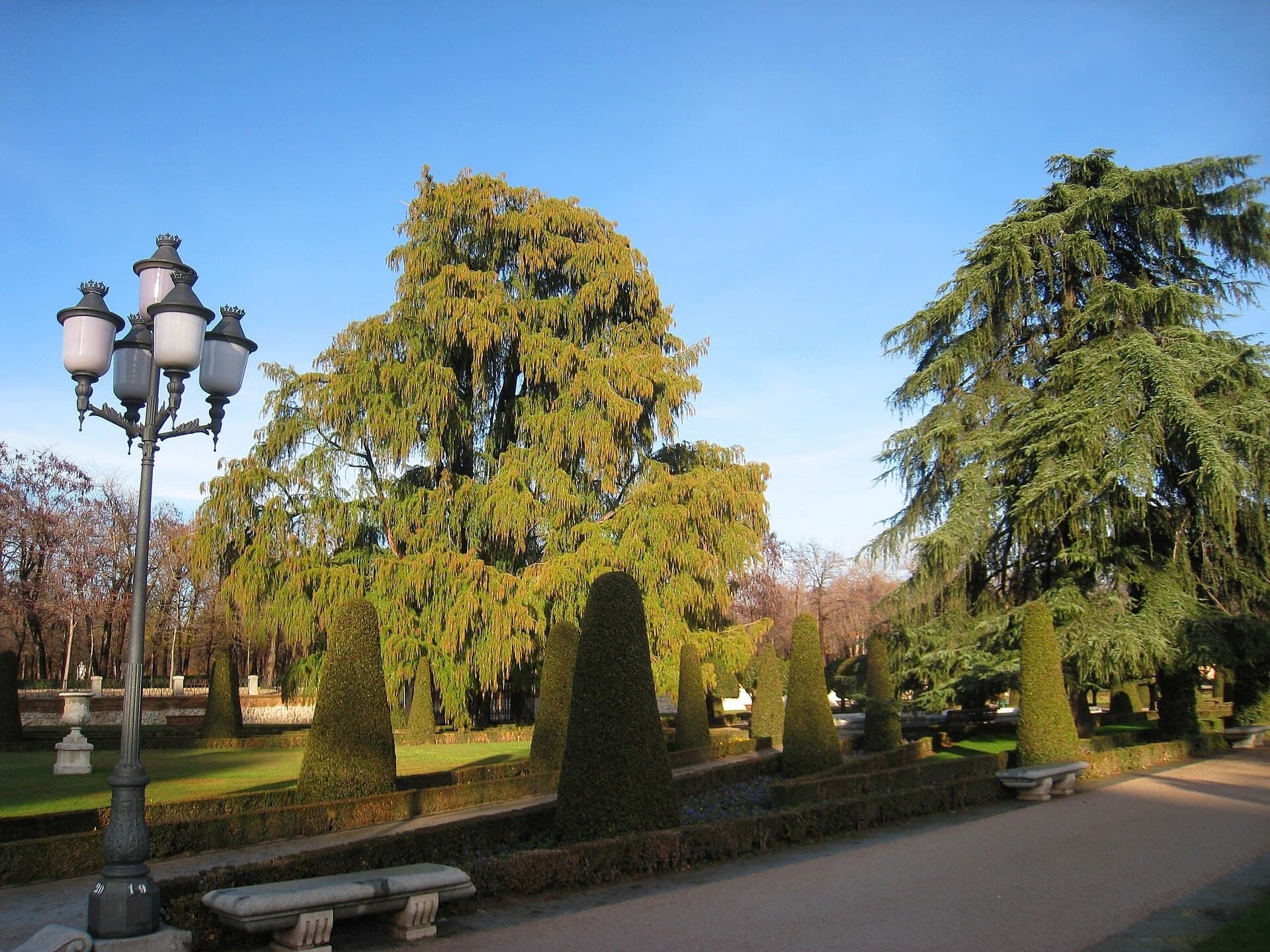 Parterre and the Ahuehuete