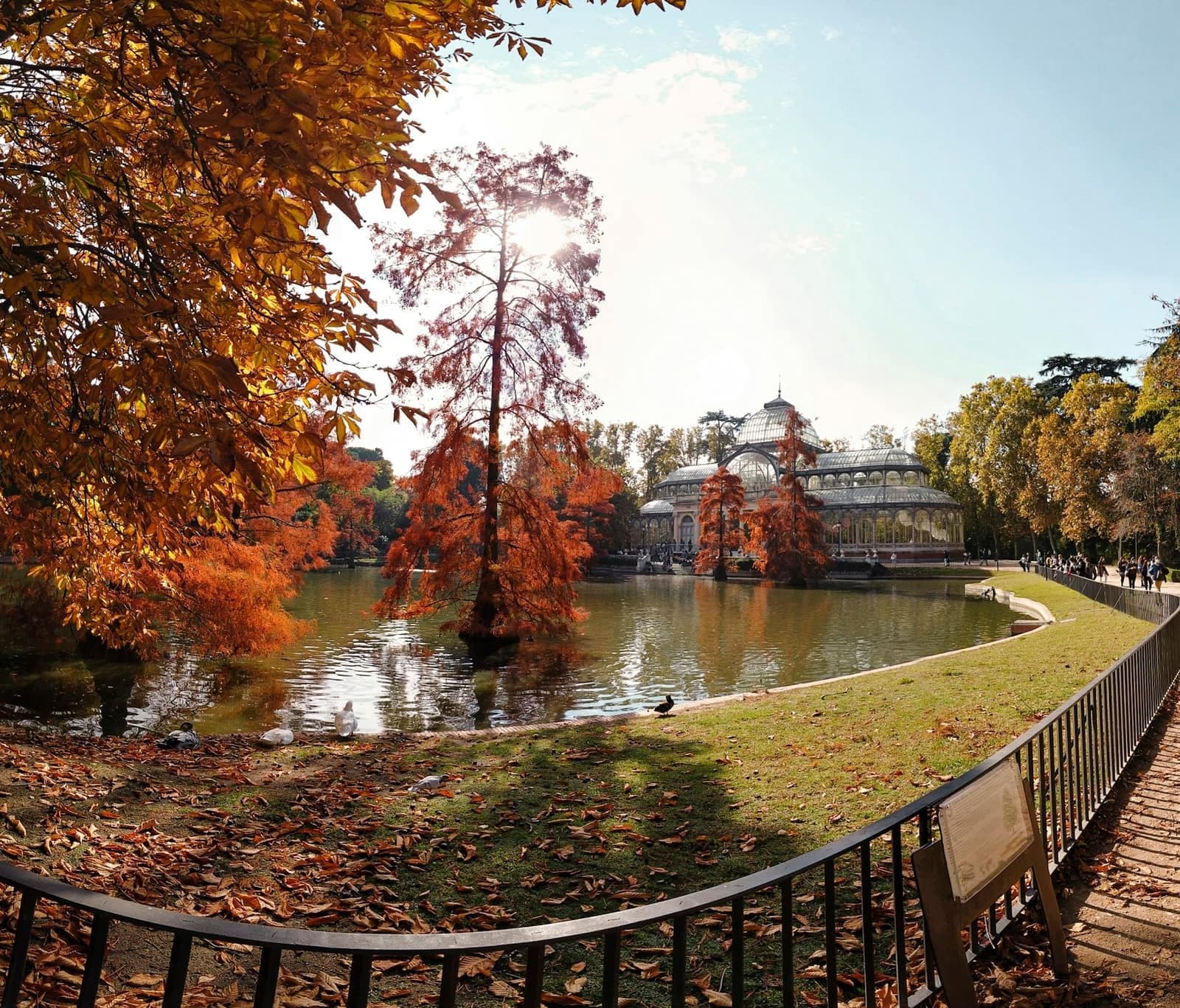 Palacio de Cristal and the Swamp Cypresses