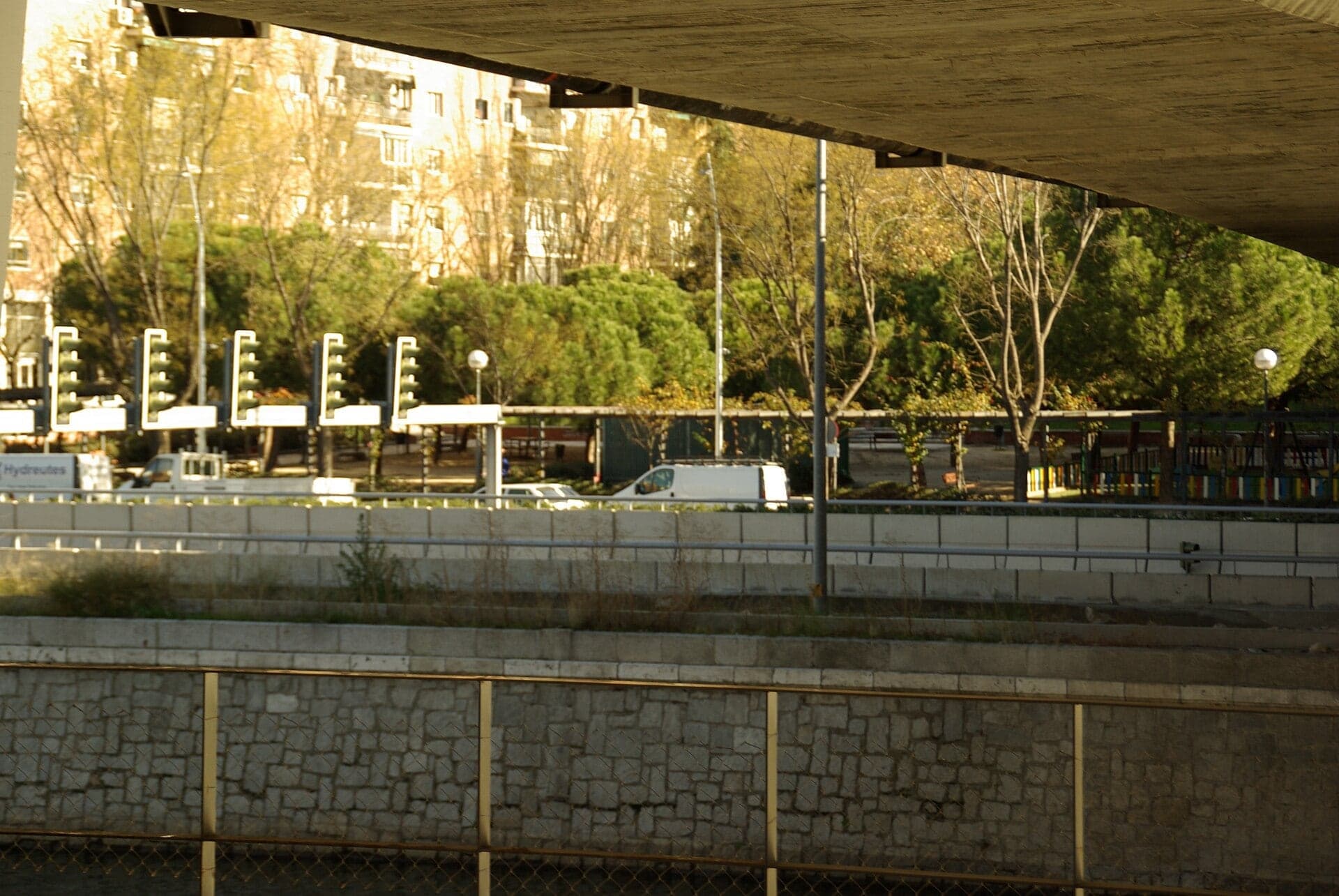 Salón de Pinos: Pines on a Motorway