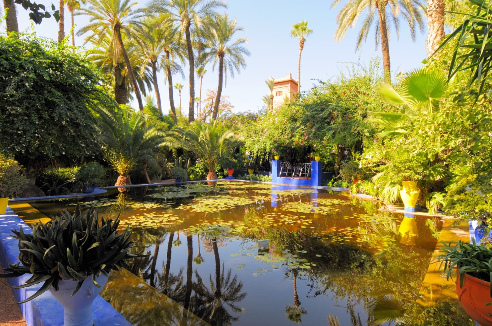 Majorelle Garden: The Blue That Reads the Whole of Marrakech