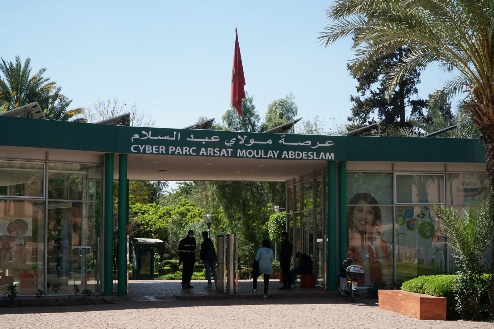 Cyber Parc: How to Read an Orchard