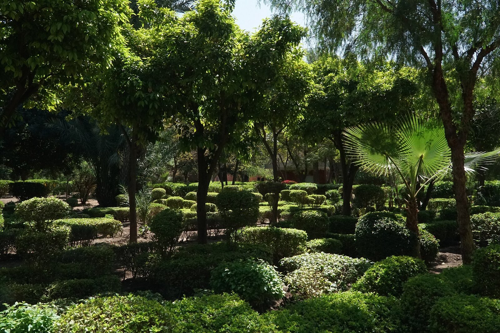 Cyber Parc: How to Read an Orchard